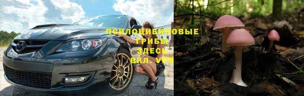 Альфа ПВП Горно-Алтайск