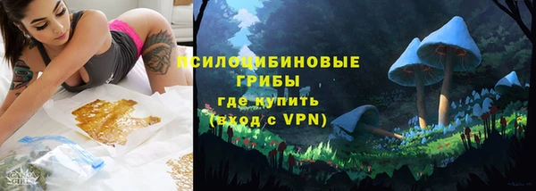 Альфа ПВП Горно-Алтайск