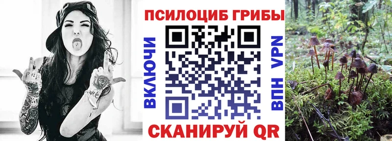 Купить закладки  Харабали  Галлюциногенные грибы MAGIC MUSHROOMS 